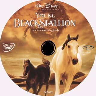 Clicca sull'immagine per ingrandirla

Nome: young black stallion cd cus.jpg
Visite: 170
Dimensione: 345.6 KB
ID: 29613